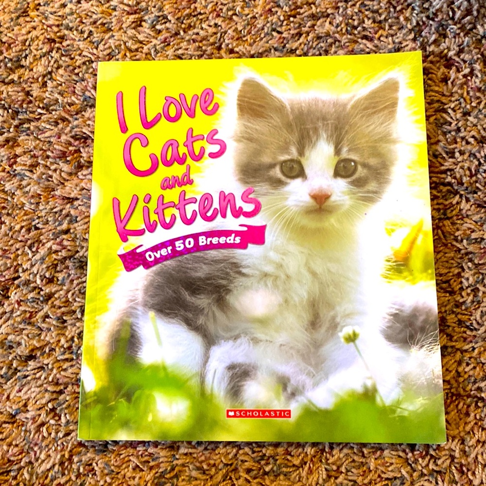 I love cats and kittens book